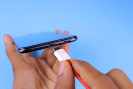 Casino Mobile Wins Farsímaforrit